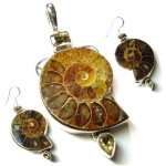 Fossil (Ammonite)